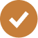 Bullet icon 1